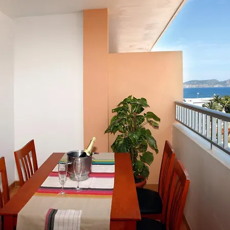 Typic Sandic Daire *