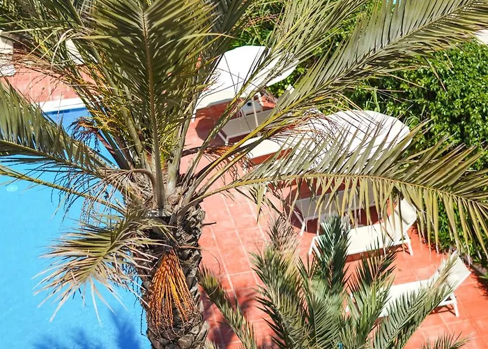 Typic Sandic Διαμέρισμα