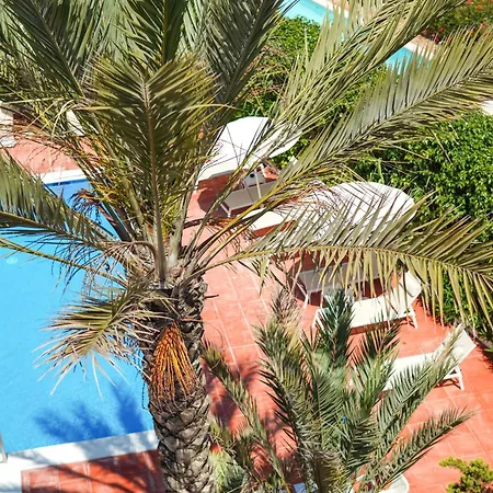 Typic Sandic Apartman